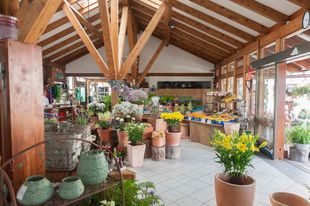 Gärtnerei Hiss Freiburg - Impressionen