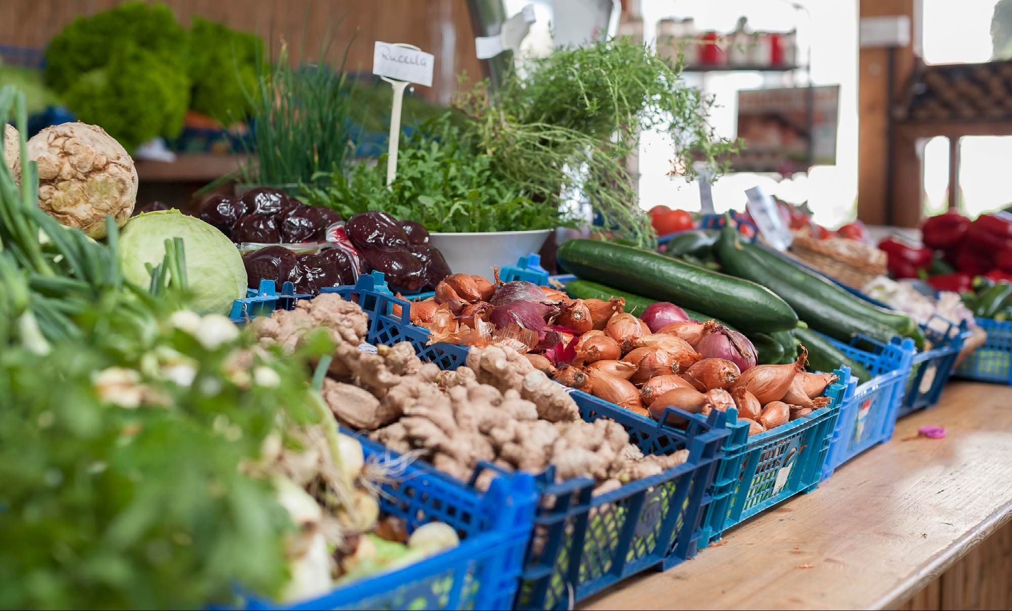 Gärtnerei Hiss Freiburg - Obst und Gemüse