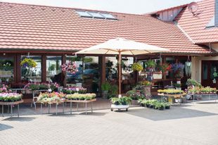 Gärtnerei Hiss Freiburg - Impressionen